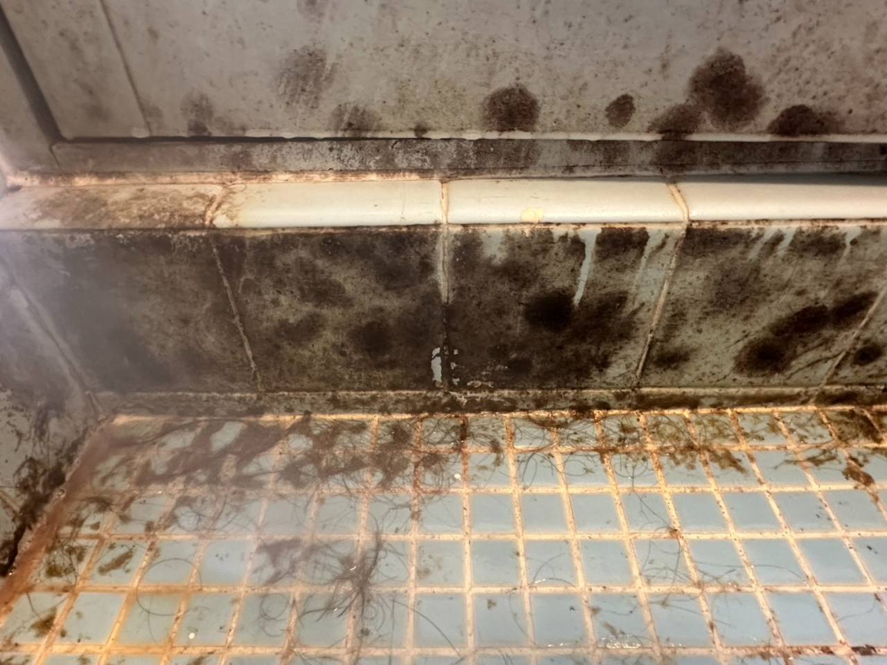 名古屋のカビ被害が深刻!原因と対策を徹底解説 | ブログ | 東京のカビ取り・カビ対策ならMIST工法®カビ取リフォーム