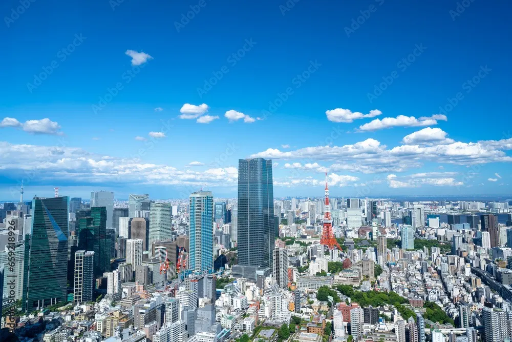 東京都のカビ問題について