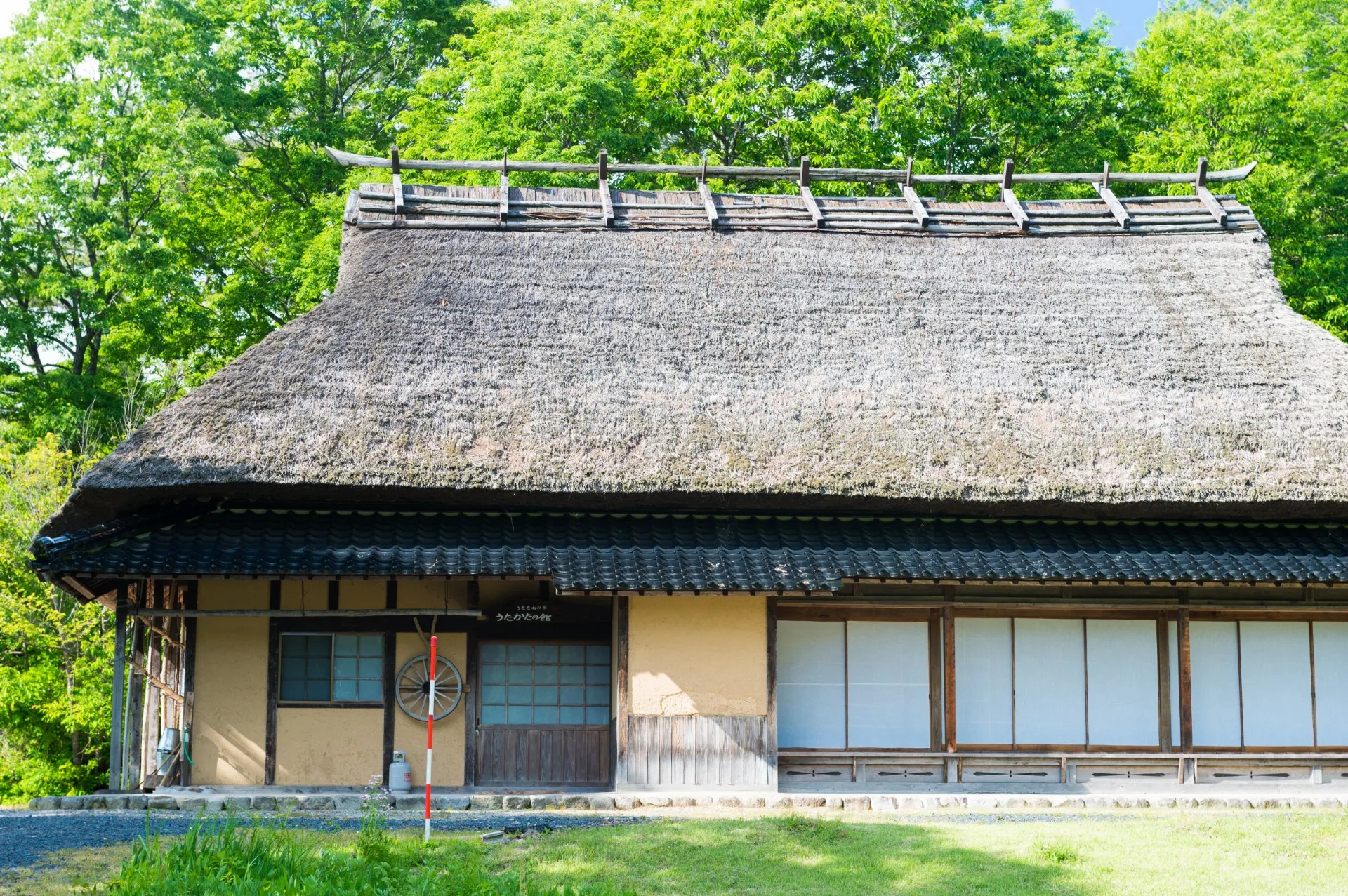 春にカビが急増する本当の原因とは?知らないと危険な対策法