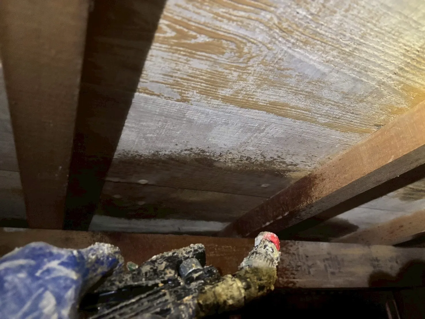 水害後の床下復旧完全ガイド｜泥水除去・カビ対策・木材腐朽の防ぎ方