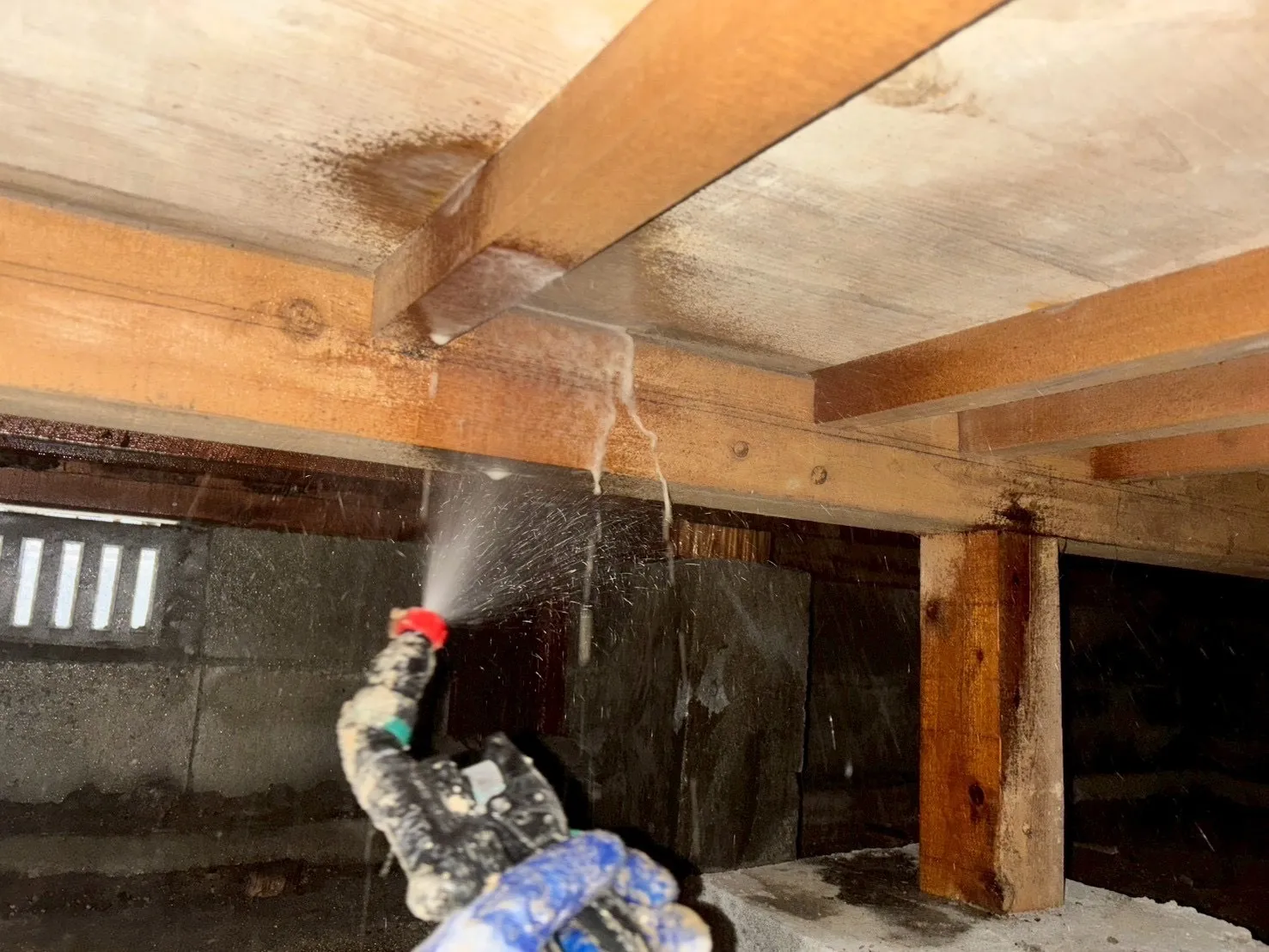 名古屋で急増中！マンション漏水後のカビ問題と根本解決の方法