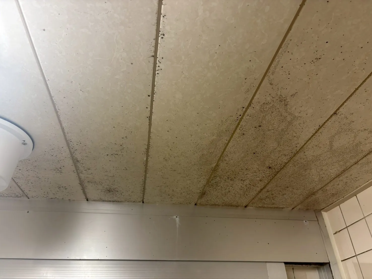 カビを防ぐ生活習慣と対策完全ガイド｜名古屋・東海エリアのカビ予防と住環境改善