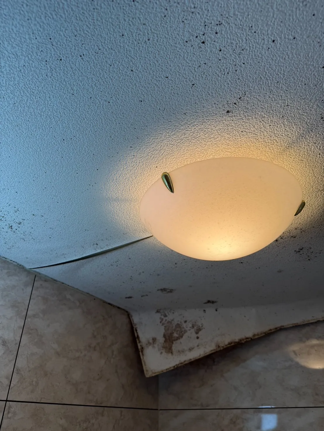 カビ原状回復の正解とは？再発しないためのリフォーム戦略