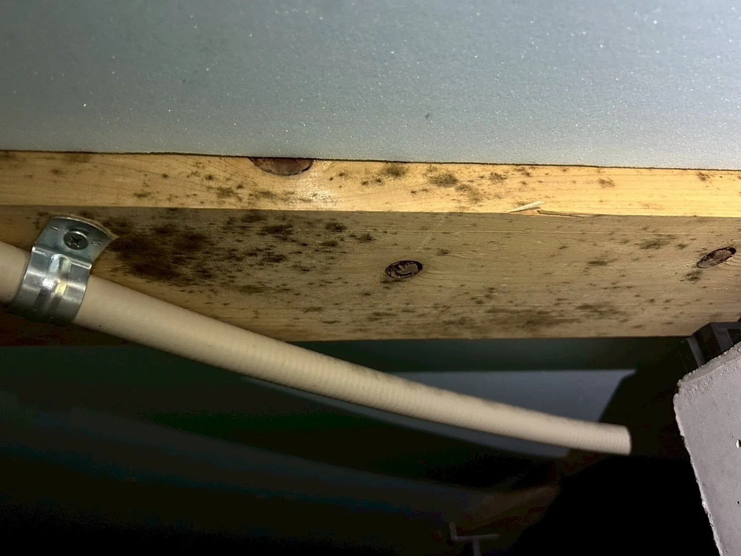 ZEH住宅でカビ発生？高断熱・高気密の落とし穴と完全対策