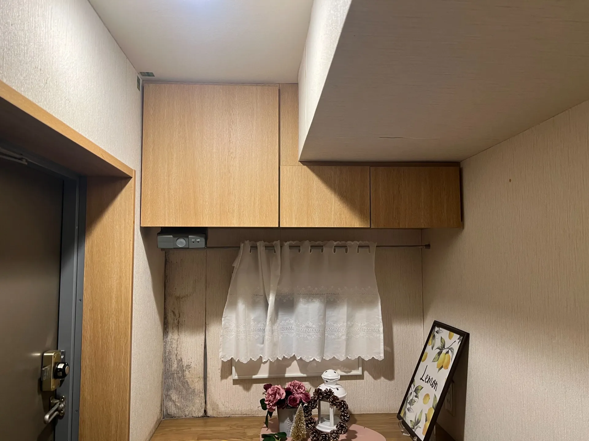 戸建て住宅のカビ対策完全ガイド｜健康被害を防ぎ住まいの価値を守る方法