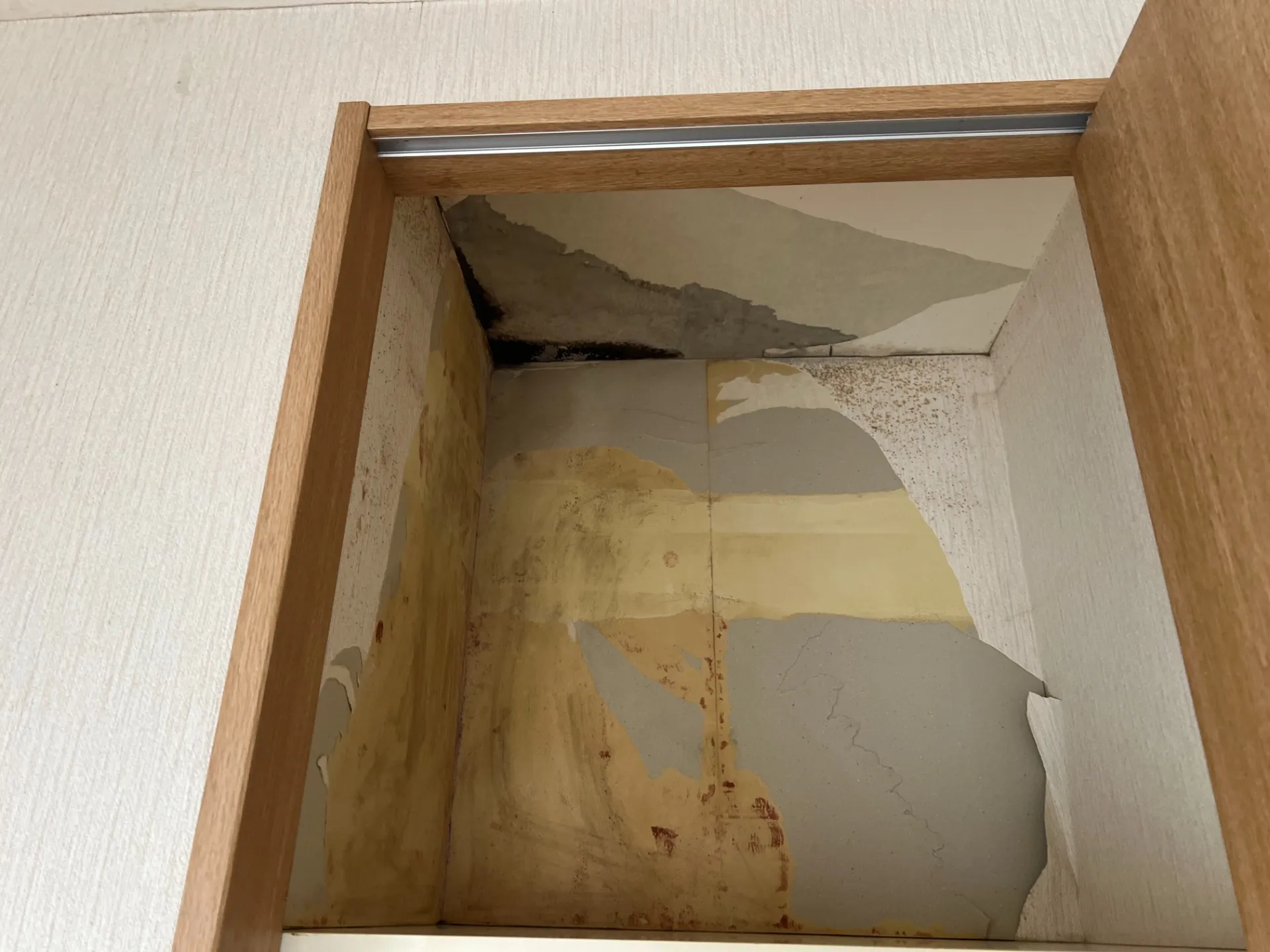 漏水後のカビ再発に要注意｜名古屋で失敗しない除カビ工事と防カビ施工
