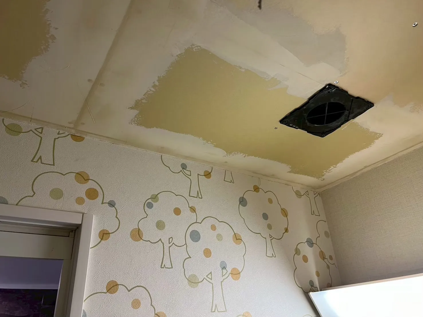 尾張旭市平子町でカビ問題が増加？住宅で多い原因と効果的な対策を徹底解説