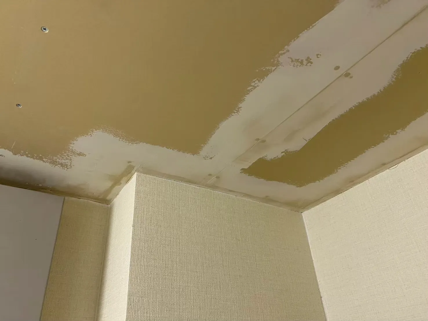 住宅のカビ臭が気になる方へ｜愛知・岐阜・三重・静岡で知っておきたい見えないカビの原因と対策