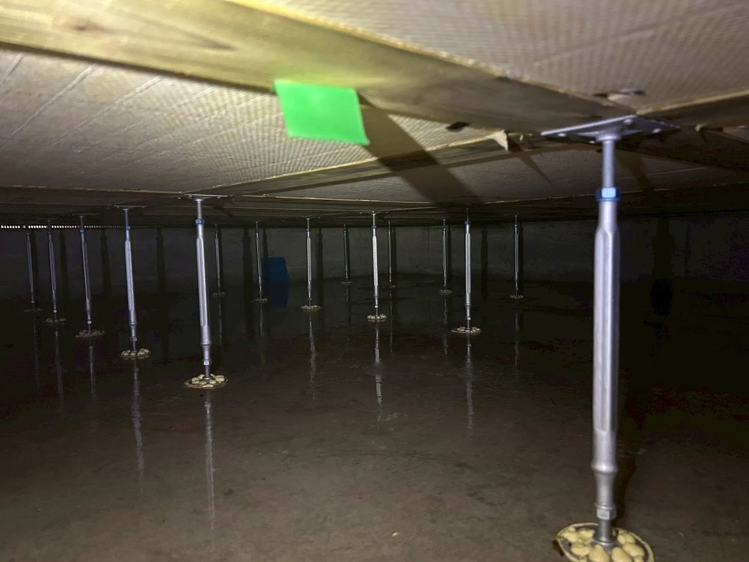 東海エリアで増加する漏水被害とカビ問題｜名古屋・岐阜・三重・静岡の住宅を守る対策ガイド