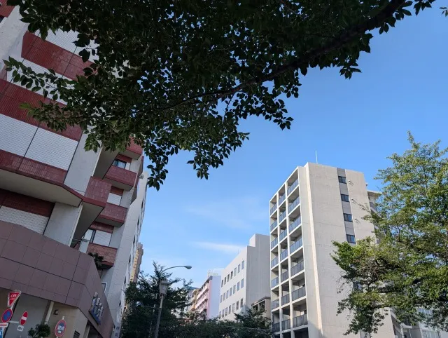 東京のカビ取りリフォーム！マンション結露対策
