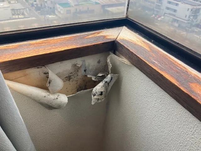 長久手市下山のカビ対策完全ガイド｜壁・天井・収納のカビ原因と除去方法