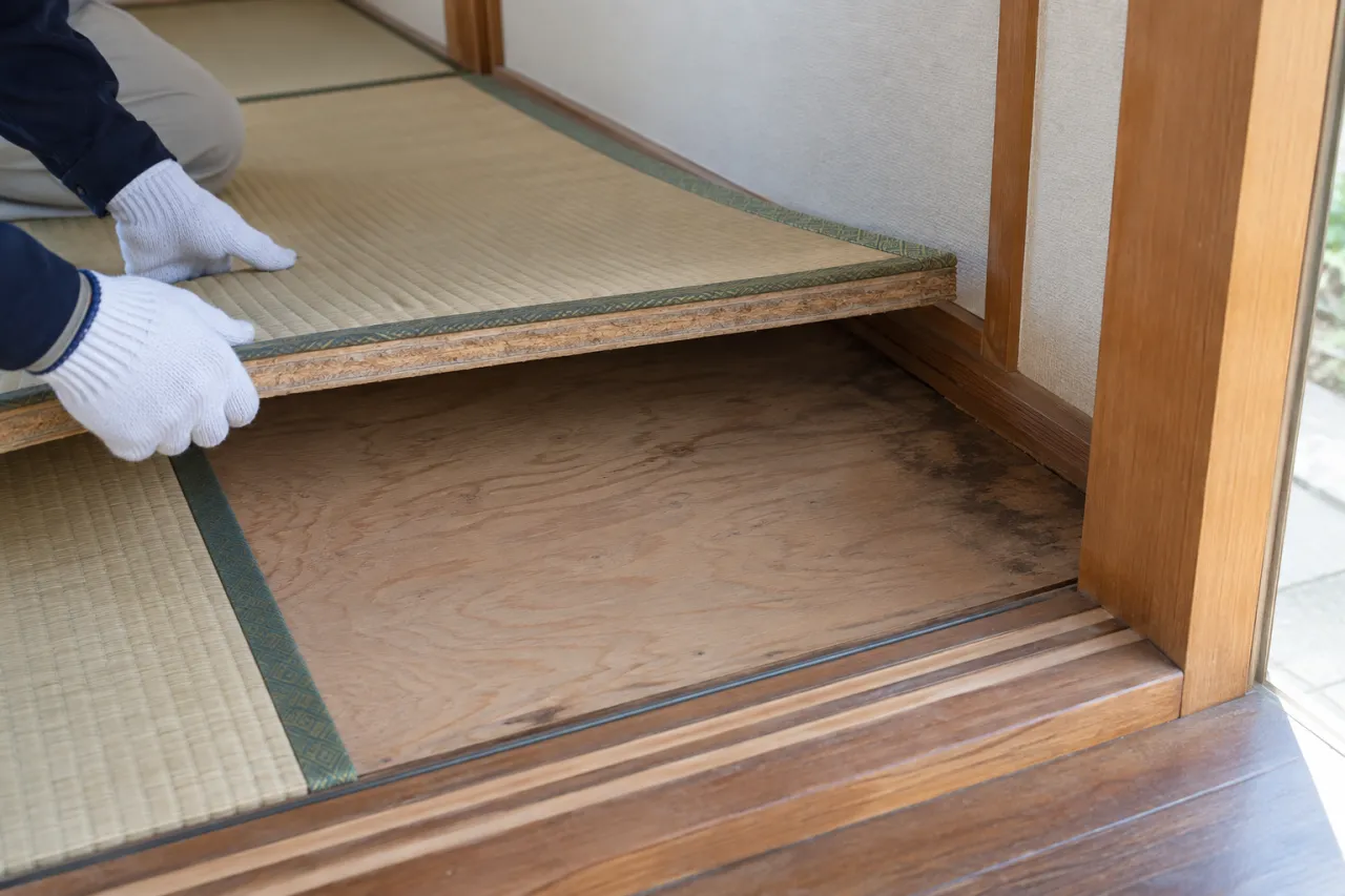 畳の厚みと、その下にある床下地を確認する位置関係