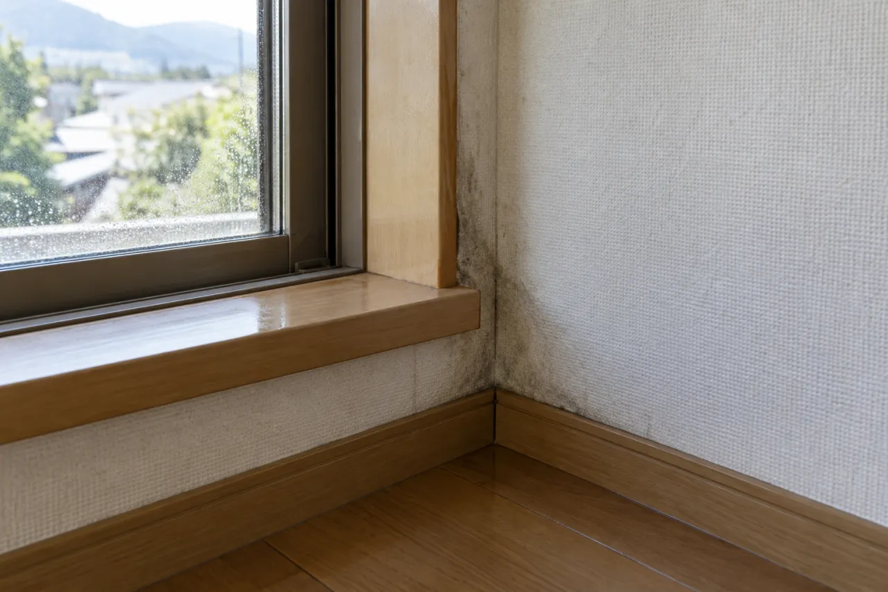 窓下の木枠と壁紙の接点にある変色