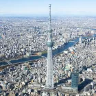 東京のカビ取り